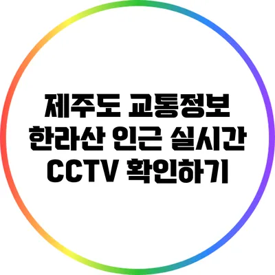 제주도 교통정보: 한라산 인근 실시간 CCTV 확인하기