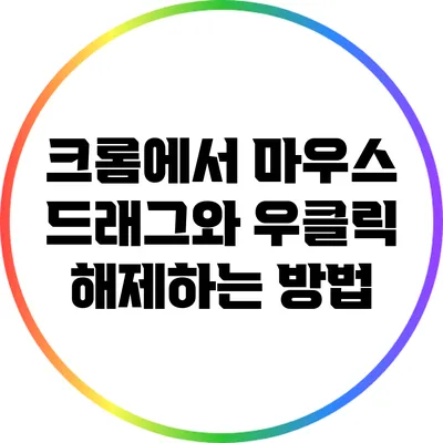 크롬에서 마우스 드래그와 우클릭 해제하는 방법