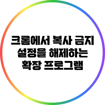 크롬에서 복사 금지 설정을 해제하는 확장 프로그램