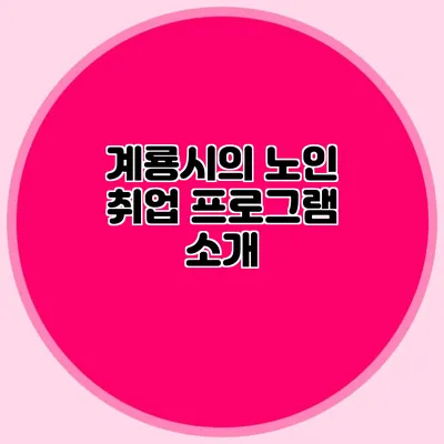 계룡시의 노인 취업 프로그램 소개