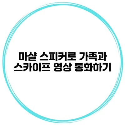 마샬 스피커로 가족과 스카이프 영상 통화하기