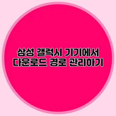 삼성 갤럭시 기기에서 다운로드 경로 관리하기